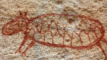 Serra da Capivara - Serviços de Guia/Transporte - 2 Dias (Base 2Pessoas)